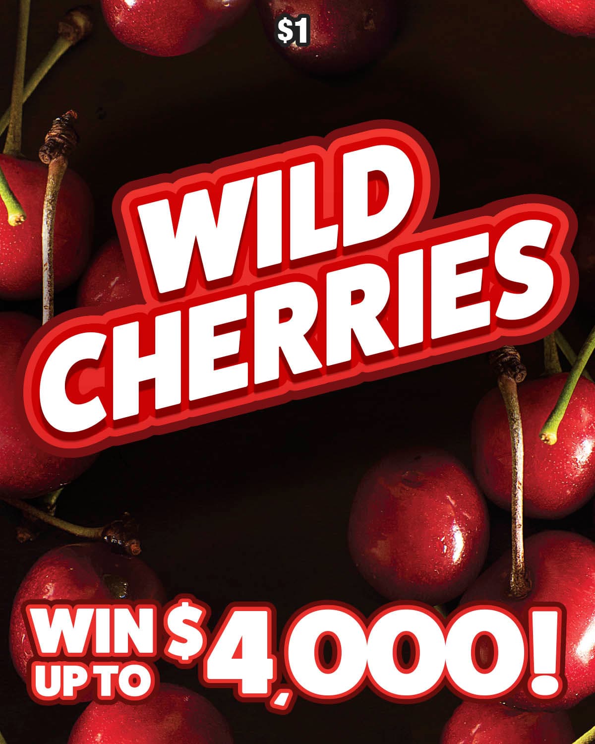 WILD CHERRIES scratch-off ticket
