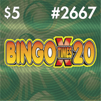 BINGO TIMES 20 scratch-off ticket
