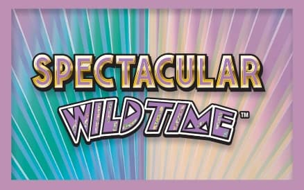 SPECTACULAR WILD TIME scratch-off ticket