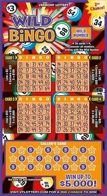 WILD BINGO scratch-off ticket