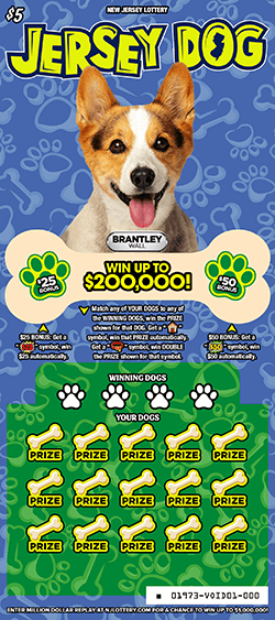 JERSEY DOG scratch-off ticket