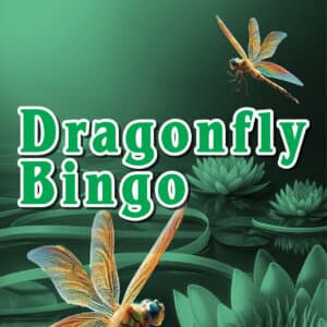 DRAGONFLY BINGO scratch-off ticket