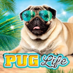 PUG LIFE scratch-off ticket